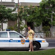 ���������� ������, ���� ������� �����, 61 ���, ������������ ��� ������, ����� � ���������