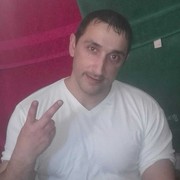  ,   Taypan, 41 ,   ,   , c 