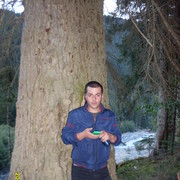  ,   MURMAN, 40 ,   