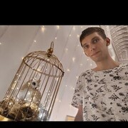 ���������� ������������, ���� ������� ����, 29 ���, ������������ ��� ������, ����� � ���������