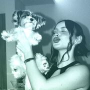 ���������� ���������, ������