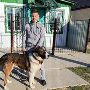 ���������� ������, ���� ������� ������, 29 ���, ������������ ��� ������, ����� � ���������