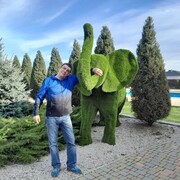  ,   , 54 ,   ,   