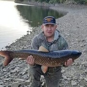 ���������� ������, ������� ���������, 47