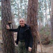 ���������� ������, ���� ������� ������ghy, 54 ����, ������������ ��� ������, ����� � ���������