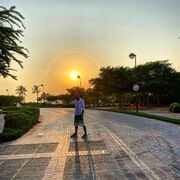  ,   Bugs_Bunny, 38 ,   ,   , c 