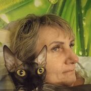 ���������� ���������, ���� ������� �����, 52 ����, ������������ ��� ������, ����� � ���������