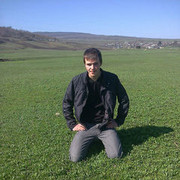  ,  vovcic, 33