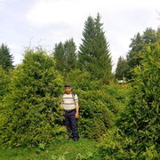  ,   , 41 ,   ,   