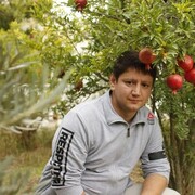 ���������� �����������, ���� ������� ������, 37 ���, ������������ ��� ������, ����� � ���������, c�������� ���������