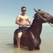  ,   Timur, 29 ,   ,   , c 