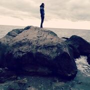 ���������� ����, ���� ������� ��������, 34 ����, ������������ ��� ������, ����� � ���������