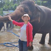 ���������� �����, ���� ������� �����, 49 ���, ������������ ��� ����� � ���������, c�������� ���������