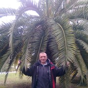  ,   , 55 ,   
