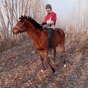  ,  Abduraxmon, 24