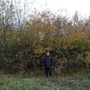  ,   , 63 ,  