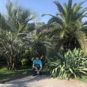  ,   , 44 ,   ,   