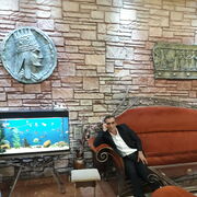 ���������� ���������, ���� ������� �����, 50 ���, ������������ ��� ������, ����� � ���������