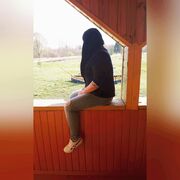 ���������� ������, ���� ������� ���������, 31 ���, ������������ ��� ������, ����� � ���������