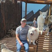 ���������� ������, ���� ������� ��������, 53 ����, ������������ ��� ������, ���������