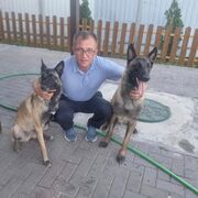 ���������� �������, ������� �����, 52