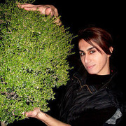  ,   Gay Ayxan, 35 ,   ,   , c 