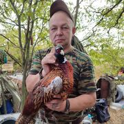 ���������� ������� �����, ���� ������� �������, 49 ���, ������������ ��� ������, ����� � ���������