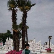  ,   , 53 ,   c 
