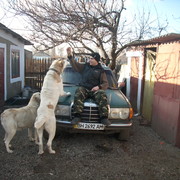  ,   , 45 ,   ,   , c 