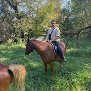 ���������� ���������, ���� ����� �����, 24 ����, ������������ ��� ������, ����� � ���������, ���������