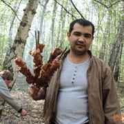  ,   Nuroli, 42 ,   