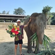 ���������� ����, ���� ������� �������, 31 ���, ������������ ��� ������, ����� � ���������, c�������� ���������