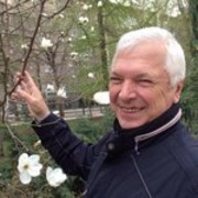 ���������� ������, ���� ������� ������, 74 ����, ������������ ��� ������, ����� � ���������, c�������� ���������