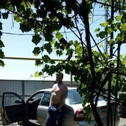 ���������� ��������, ���� ������� ����, 43 ����, ������������ ��� ������, ����� � ���������