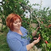  Bansko,   , 52 ,     , c , 
