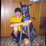  ,   , 42 ,     , c 