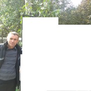   ,  , 61