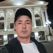 ���������� �����������, ���� ������� Gayrat, 37 ���, ������������ ��� ������, ����� � ���������