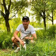 ���������� ��������, ���� ������� �����, 40 ���, ������������ ��� ������, ����� � ���������, c�������� ���������