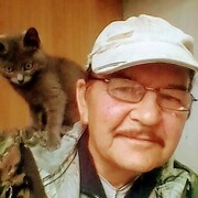  ,   , 67 ,   ,   