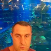  ,   ANZOR, 45 ,   ,   , c 