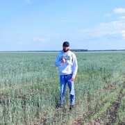 ���������� ������������, ���� ������� BARON, 29 ���, ������������ ��� ������, ����� � ���������, c�������� ���������