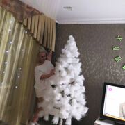 ���������� �����������, ���� ������� ����, 45 ���, ������������ ��� ������, ����� � ���������, c�������� ���������