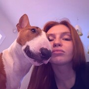 ���������� ���������, ����