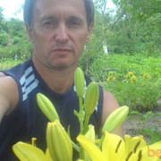  ,   , 53 ,   