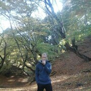 ���������� �������, ���� ������� Dato, 47 ���, ������������ ��� ����� � ���������, c�������� ���������