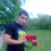 ���������� �������, ���� ������� Sardor, 36 ���, ������������ ��� ������, ����� � ���������, c�������� ���������