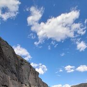 ���������� �������, ���� ������� Bacho, 40 ���, ������������ ��� ����� � ���������, c�������� ���������