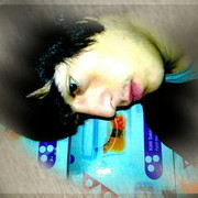  ,   89253706851, 35 ,     , c 