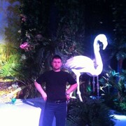  ,   Ivan, 39 ,     , c , 